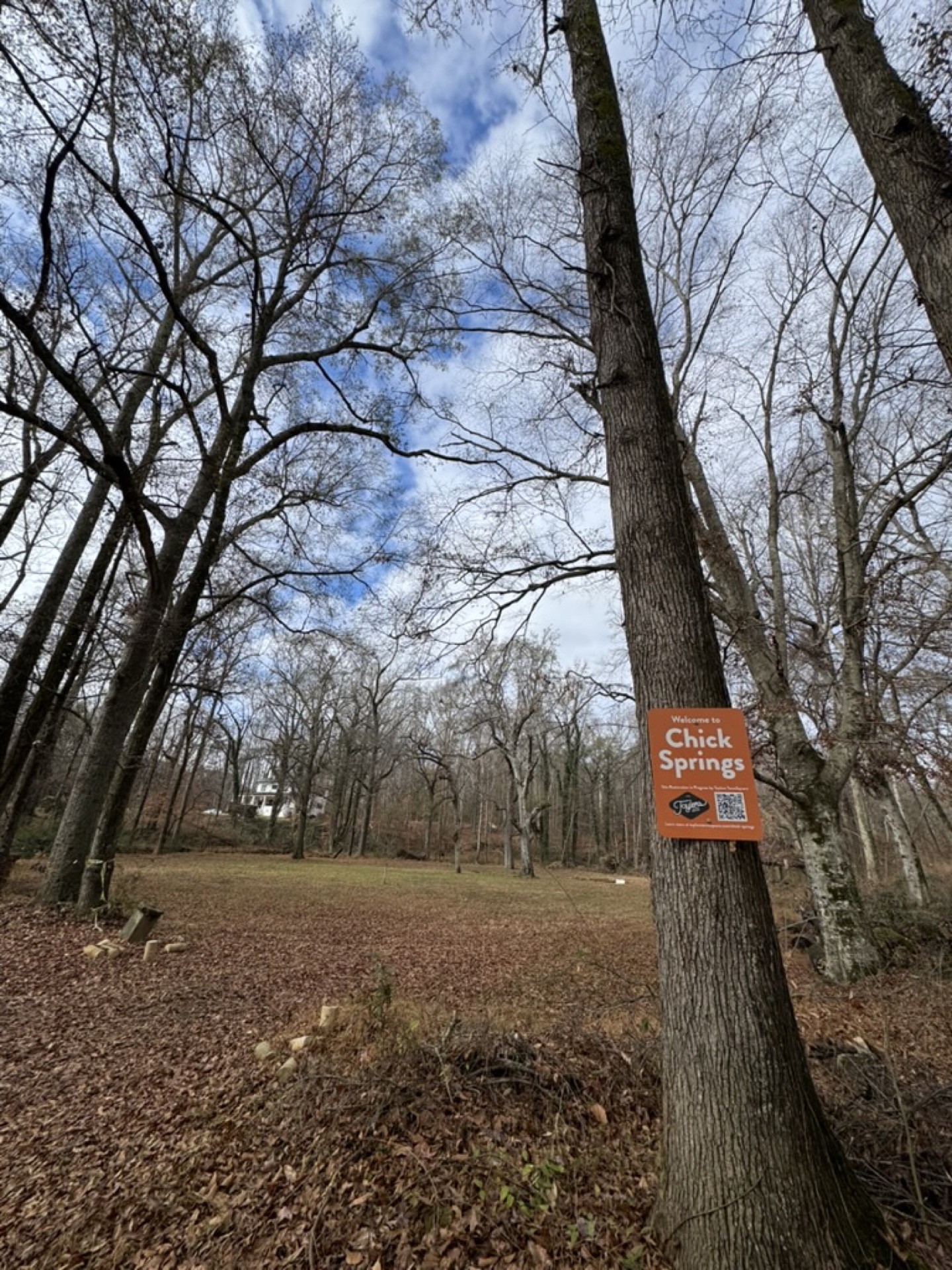 The Spring Still Flows